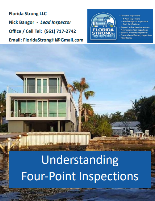 Preview of the Understanding Four Point Inspections Guide